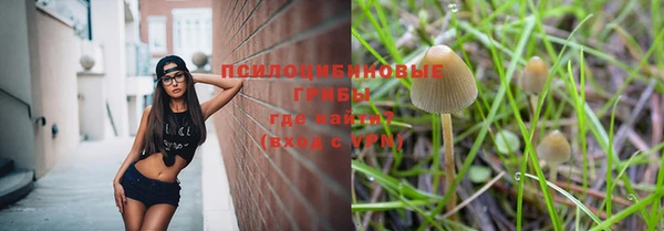 дмт Алексеевка