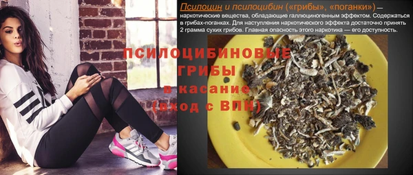 дмт Алексеевка