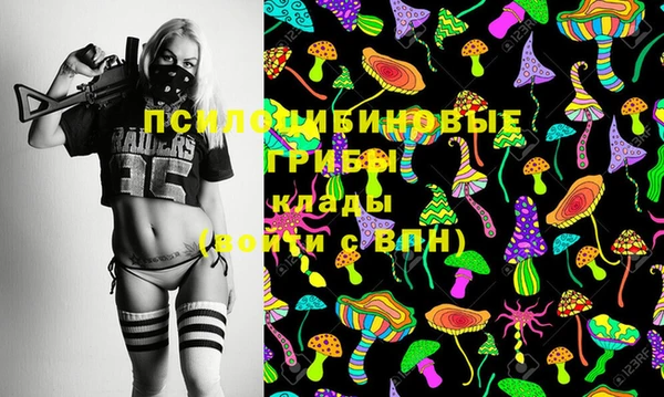 дмт Алексеевка