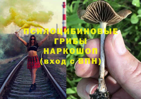 дмт Алексеевка