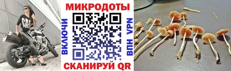 Псилоцибиновые грибы мухоморы  Ивангород 